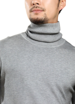 Pull Col Roule Confort Gris Clair Homme 2