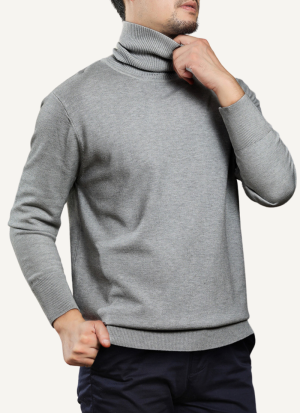Pull Col Roule Confort Gris Clair Homme