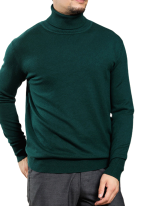 Pull Col Roule Confort Vert 2