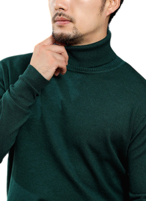 Pull Col Roule Confort Vert 3