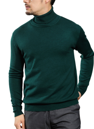 Pull Col Roule Confort Vert